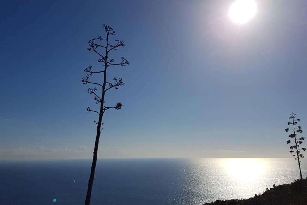 Suite Milu Cagliari Buitenkant foto
