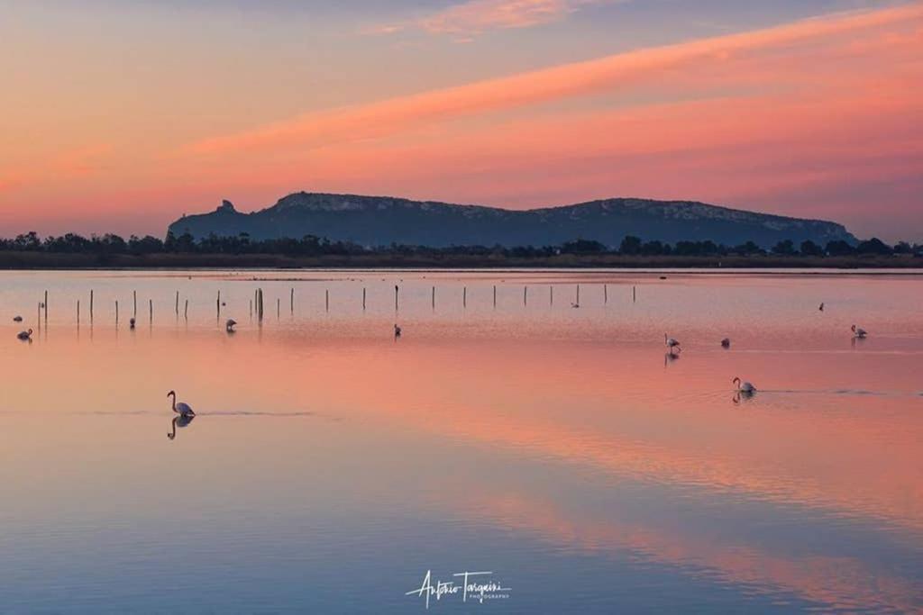 Suite Milu Cagliari Buitenkant foto